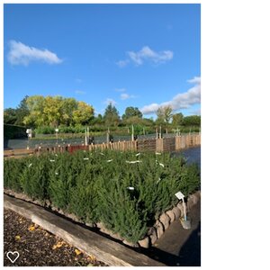 Hedging now available - 2021/22 season
