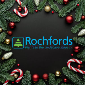 Merry Christmas and a Happy New Year!