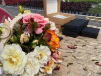 Rochfords International Rose Trials July 2021