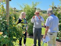 Rochfords International Rose Trials July 2021