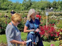 Rochfords International Rose Trials July 2021