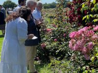 Rochfords International Rose Trials July 2021