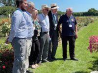 Rochfords International Rose Trials July 2021